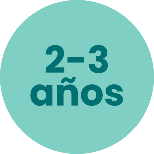 2-3 años
