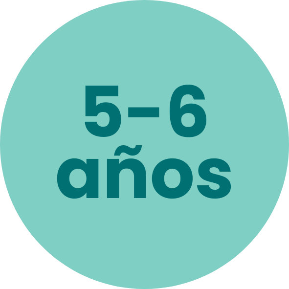 5-6 años