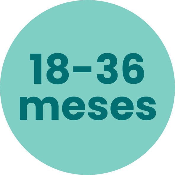 18-36 meses